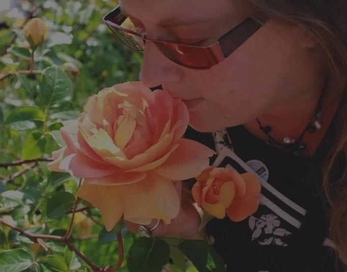 19783682536475-db-roses-dark-17109536984846.jpeg